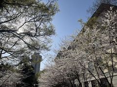 -南京林业大学-图书馆