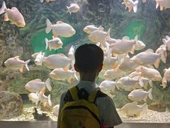 -常州海昌海洋探索馆