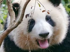 -临沂动植物园