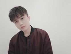 -YESIDO椰岛造型