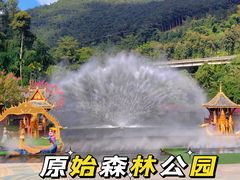 -西双版纳原始森林公园