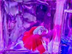 -华声天桥民俗文化园