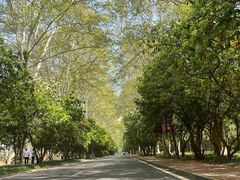 -河南省黄河迎宾馆