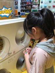 -kidsland(上海环球港店)