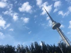 -龙塔
