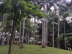 -人民公园(罗湖区)