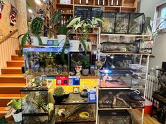 -Rabbit Cafe私房西餐甜点咖啡(栖霞路店)