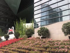-鸿运兔·手撕烤兔(天府广场店)