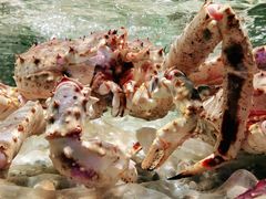 -盒马鲜生(顺义店)