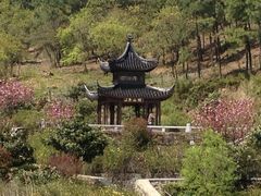 IMG_1132-旺山景区