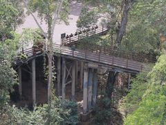 -野象谷景区