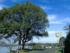 -东钱湖旅游度假区