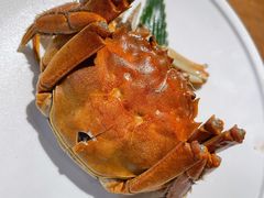 八年陈酒熟醉蟹-苏小柳手作点心(控江旭辉分院)