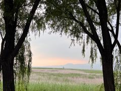 -野鸭湖国家湿地公园