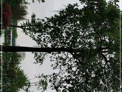 -海珠湖公园