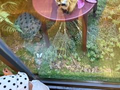-拈菜(观音桥阳光世纪店)