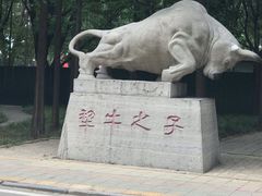 -曲阜师范大学(曲阜校区)
