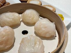 -金苑海鲜酒家(来魅力店)