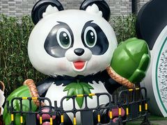 -都江堰中华大熊猫苑