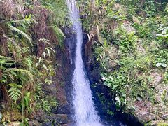 -佛山市三水区大南山森林公园