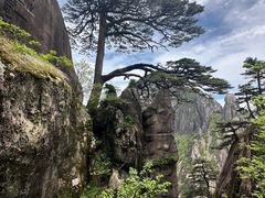 -黄山风景区
