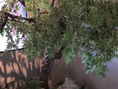 -贝勒爷·酥不腻烤鸭