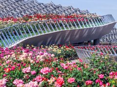 -上海佘山国家森林公园天马山园