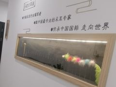 -乐老大耳道·可视采耳·禅洗(大成直营店)