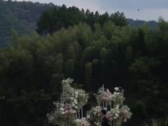 -怪咖·joker陈楠