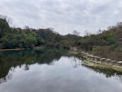 -花溪公园