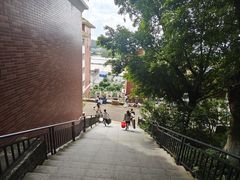 -滴水岩森林公园