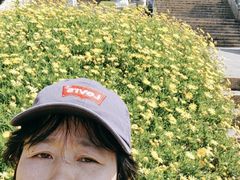-南诏风情岛