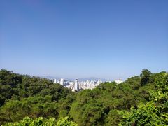 -金鸡山公园