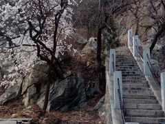 -鹫峰国家森林公园