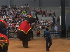 -东芭乐园