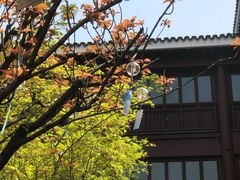 -苏州吴宫泛太平洋酒店