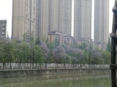 -成都市活水公园