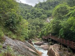 -广州白江湖森林公园