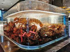 -雍容荟帝王蟹活龙虾展台自助(IFS黑金店)