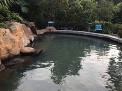 -江门古兜温泉小镇