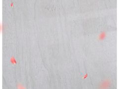 -味多美蛋糕(亚非大厦店)