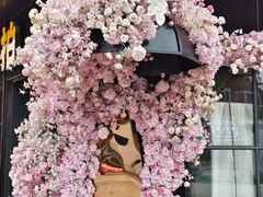 -荷兰花海
