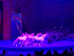 -珠海横琴长隆《卡卡虎奇遇记》