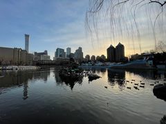 -团结湖公园
