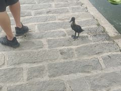-前关湿地公园
