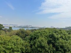 -立新湖公园