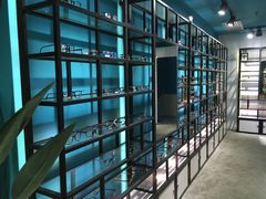 -Trend1881视光·蔡司视觉(领展广场店)