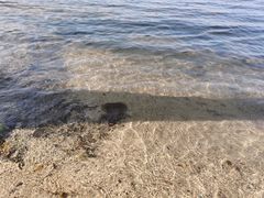 -西昌邛海湾柏樾酒店(原邛海湾柏栎度假酒店)