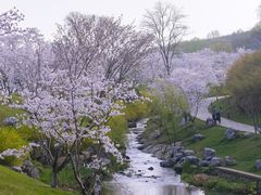 -羊山湖公园
