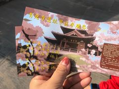 -西安青龙寺遗址景区